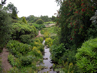 Glenwhan Gardens