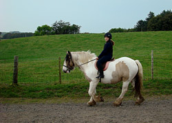 Pony Trekking