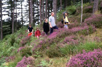 Walking in Glen Trool